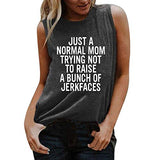Women Just a Normal Mom Trying Not to Raise A Bunch of Jerkfaces T-Shirt Funny Mom Graphic Shirt
